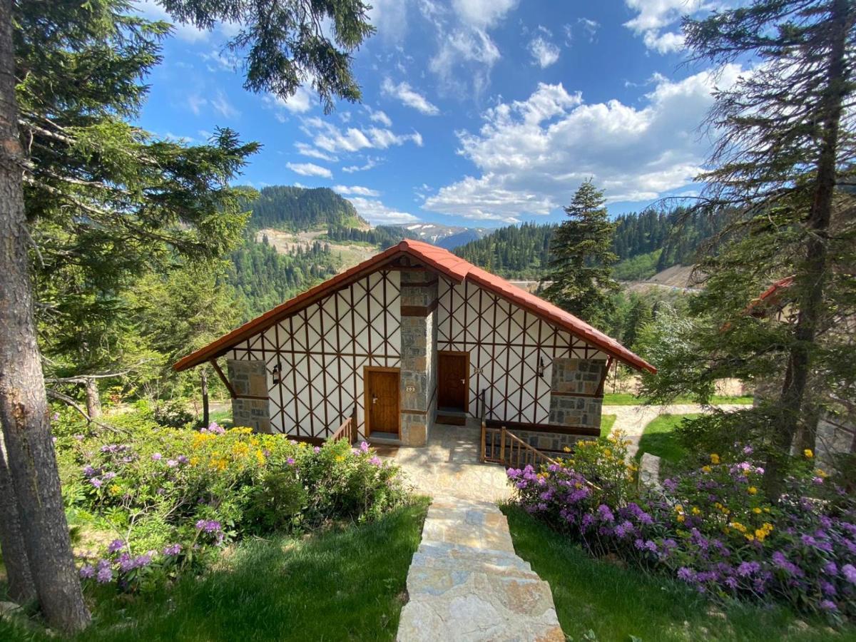 Foleya Mountain Resort Hotel & Villas 特拉布宗 外观 照片