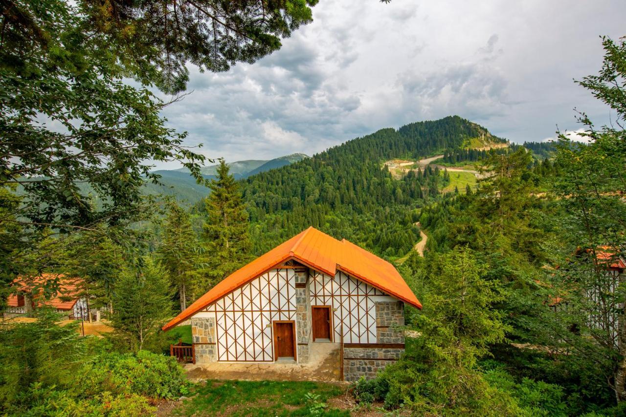 Foleya Mountain Resort Hotel & Villas 特拉布宗 外观 照片