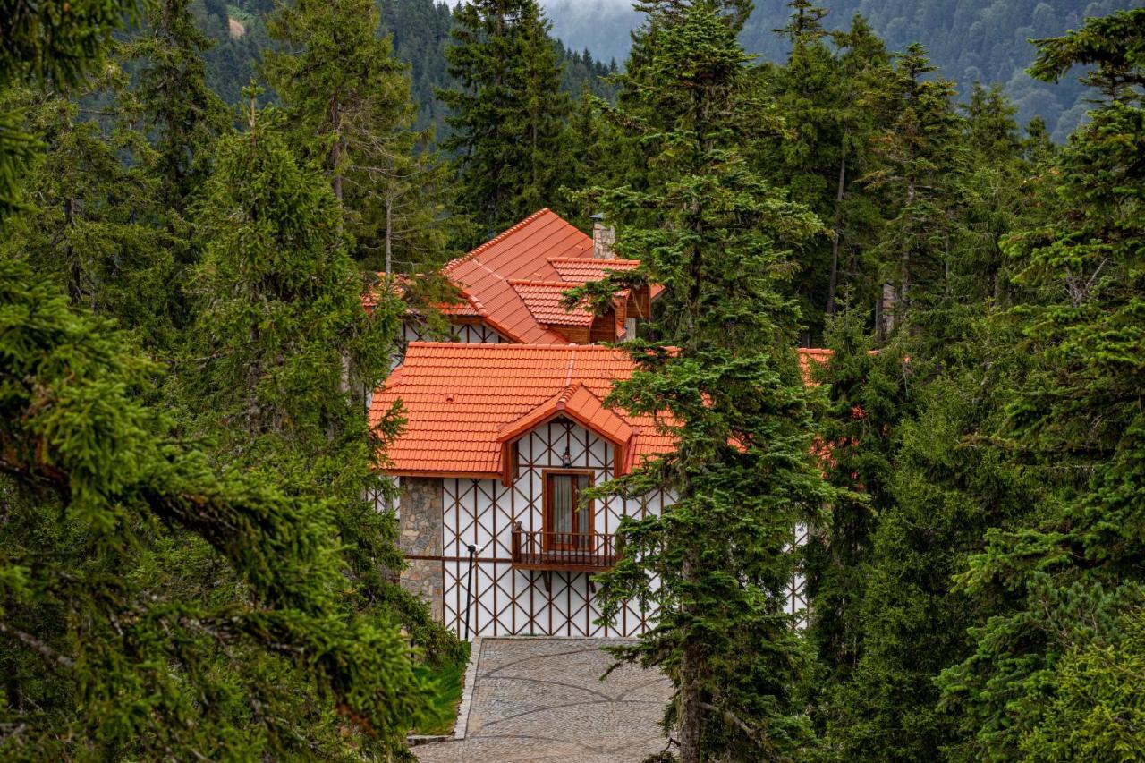Foleya Mountain Resort Hotel & Villas 特拉布宗 外观 照片